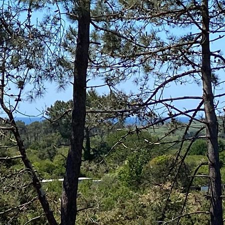 Maison Architecte Bois Du Kador A Morgat Crozon Bagian luar foto