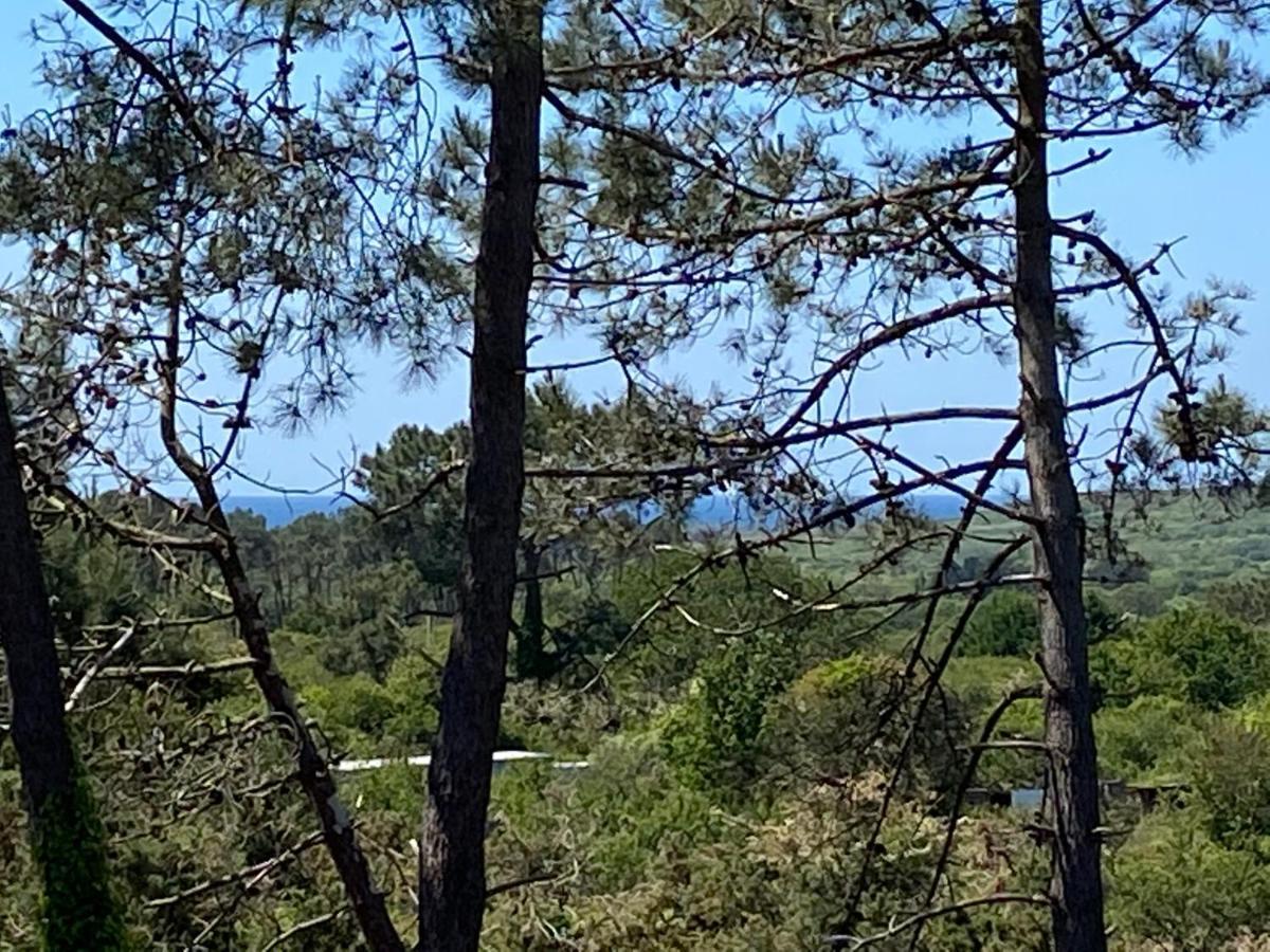 Maison Architecte Bois Du Kador A Morgat Crozon Bagian luar foto