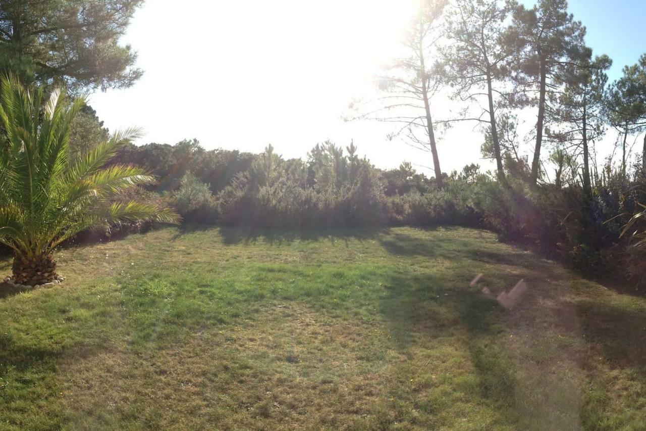 Maison Architecte Bois Du Kador A Morgat Crozon Bagian luar foto