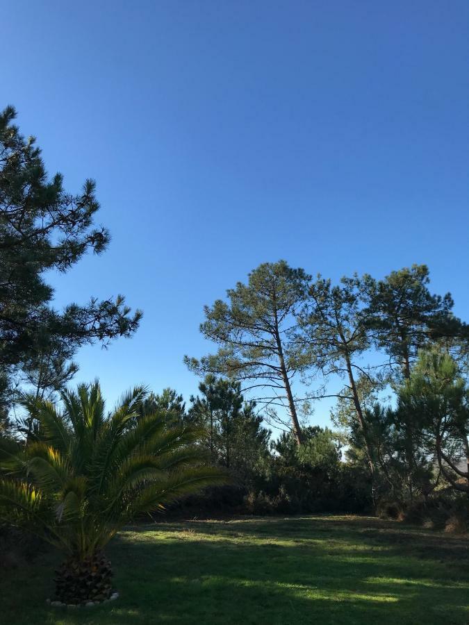 Maison Architecte Bois Du Kador A Morgat Crozon Bagian luar foto